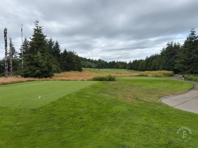 A tee at Salish Cliffs looking down a fairway toward the forest.