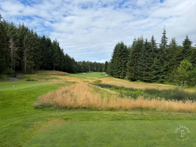 A green at Salish Cliffs with the flagstick, trees crowding the hole.