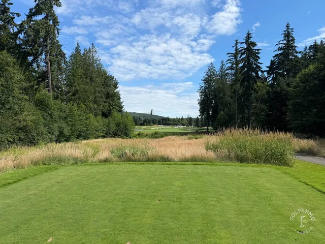An elevated view at Salish Cliffs, the course falling away through the trees.
