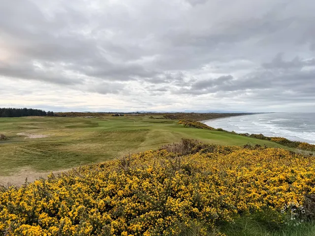 A green and flagstick at Sheep Ranch, with a bunker in front and the ocean behind the hole.