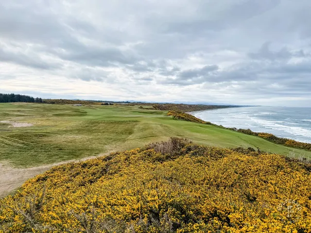 A wide view of Sheep Ranch, open ground and the sea with almost no trees.