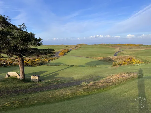 Golfers on a tee at Sheep Ranch, with the Pacific behind them.