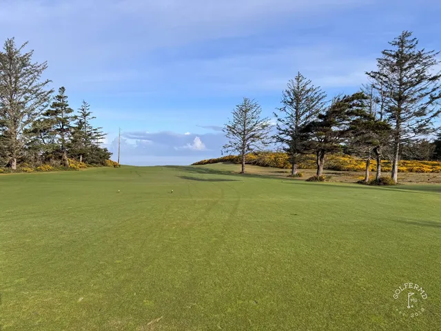 A green and flagstick at Sheep Ranch seen from the fairway, with the sea on the horizon.