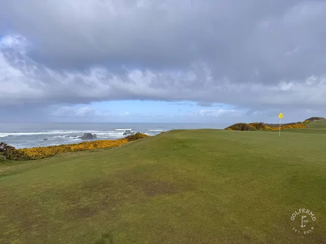 A close view of a green at Sheep Ranch, the flagstick framed by fescue.