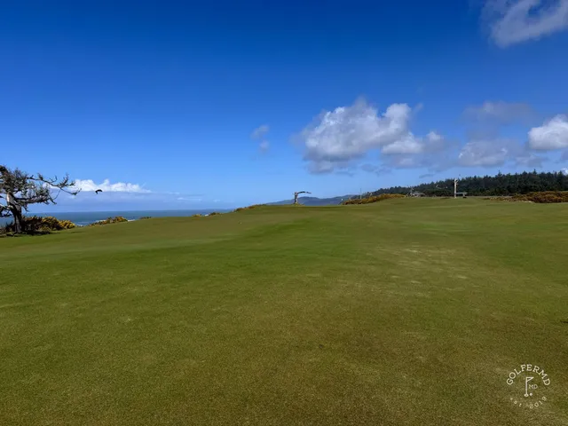 The last holes at Sheep Ranch, open grass running to the edge of the Pacific.