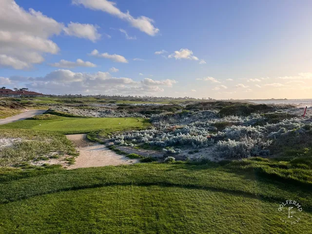 A green and flagstick beside the ocean at The Links at Spanish Bay, with a cypress tree along the hole.