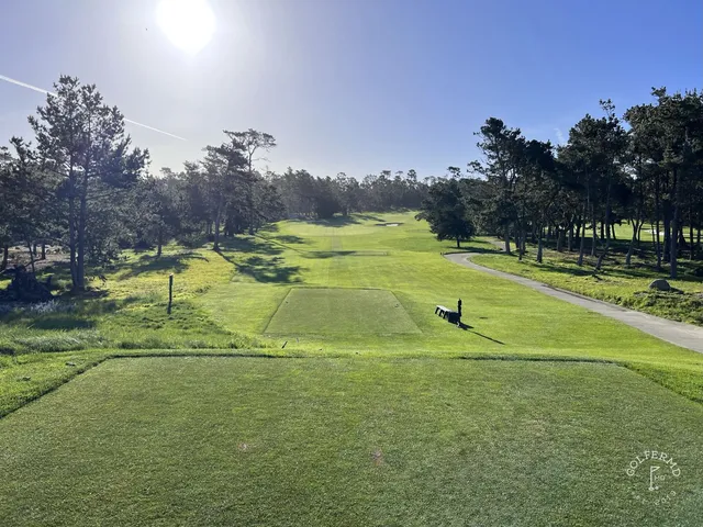 A green and flagstick beside a pond at Spyglass Hill Golf Course, with cypress trees along the hole.