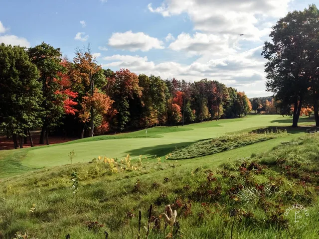 A green and flagstick at Thornapple Pointe, with a sand bunker in front and trees around the hole.
