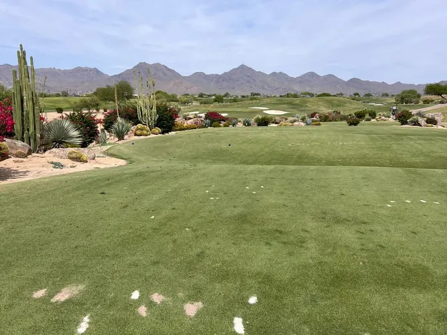 A golfer putting on a green at TPC Scottsdale, with desert plants and the McDowell Mountains behind the green.
