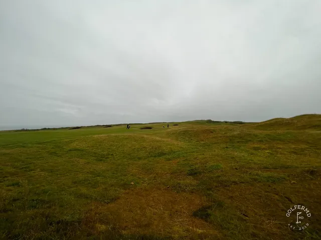 A golfer putting at Tralee, with the dunes behind the green.