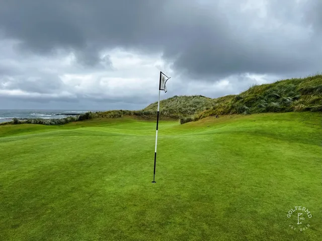 A golfer putting at Doonbeg, with the dunes behind the green.