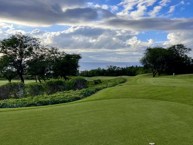 A wide view at the Emerald Course, with sand bunkers, palm trees, and the ocean on the horizon.