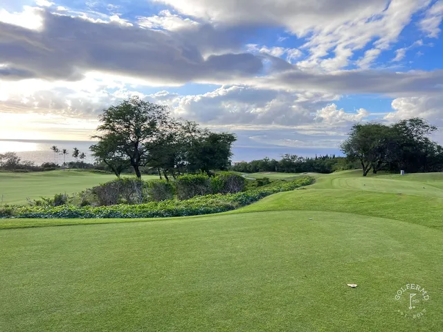 A green and flagstick at the Emerald Course, with a sand bunker in front and palm trees around the hole.