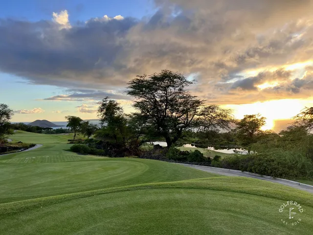 A fairway at the Emerald Course lined with palm trees, running toward the water.