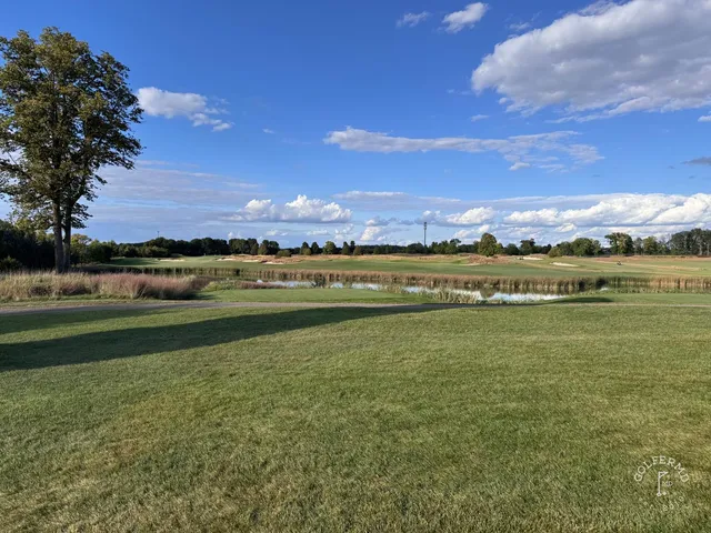 Golfers on a tee at Windsong Farm, with trees behind them.