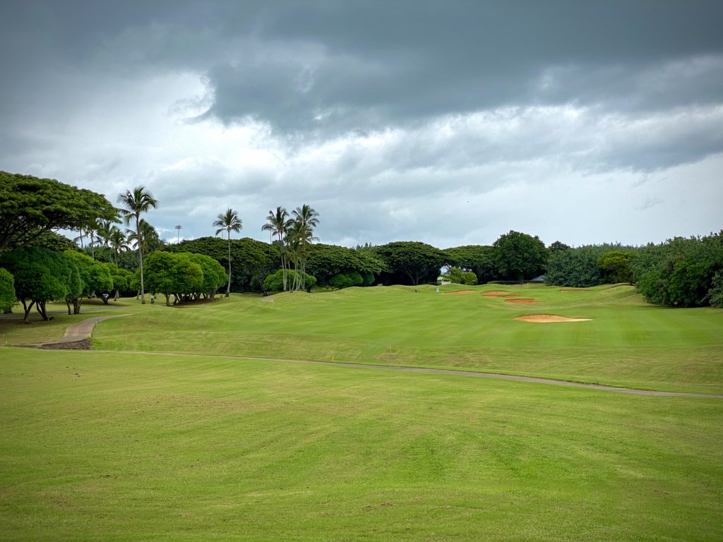 The ER Life and The Ocean Course at Hokuala | GolferMD