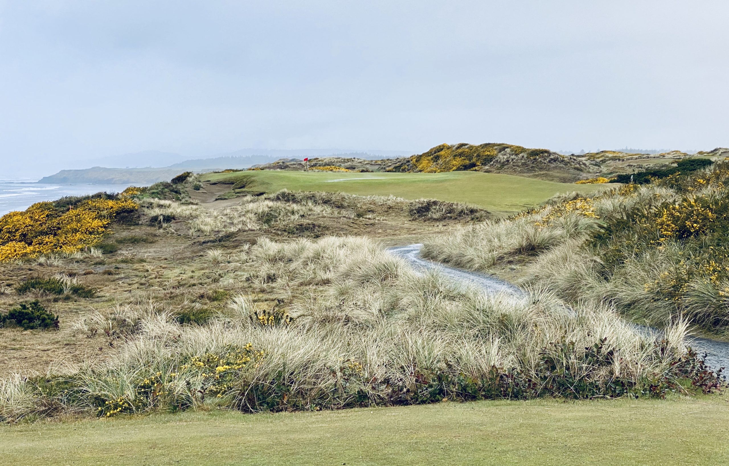 The Best Course at Bandon Dunes GolferMD